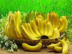 القرد المحتال وقشرة الموز قصة جميلة للأطفال قبل النوم بقلم منى حارس