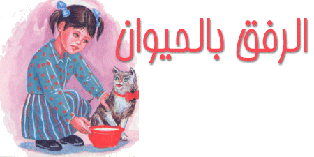 Photo of القط المسكين من حكايات جدتي سعاد قبل النوم بقلم منى حارس