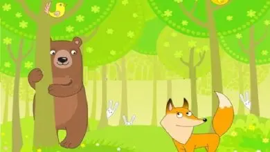 قصة الدب والثعلب