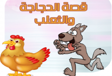 Photo of قصة الدجاجة والثعلب