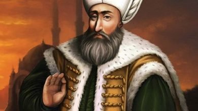 قصة السلطان سليمان القانوني والنمل