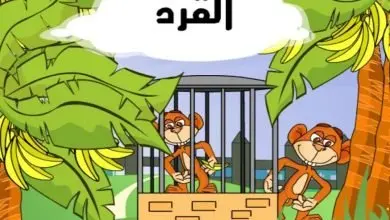 Photo of قصة القرد المنحوس
