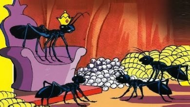 قصة النملة الكسولة